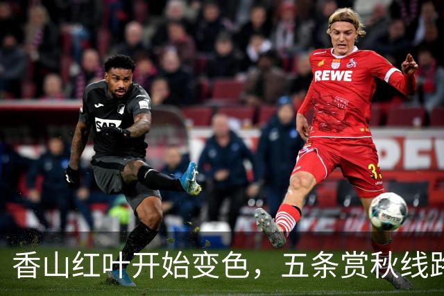 香山红叶开始变色，五条赏秋线路等你来探索！